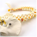 Ultra Flexible Vertebral Column with Open Sacrum